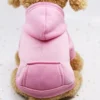 Fashion Dog Clothing Autumn And Winter Small Pet Clothes Thickening Warm Solid Color Two-Feet Hooded Wweater Casual Pet Products - Image 7