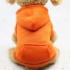 Fashion Dog Clothing Autumn And Winter Small Pet Clothes Thickening Warm Solid Color Two-Feet Hooded Wweater Casual Pet Products - Image 32