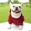 Fashion Dog Clothing Autumn And Winter Small Pet Clothes Thickening Warm Solid Color Two-Feet Hooded Wweater Casual Pet Products - Image 19