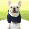 Fashion Dog Clothing Autumn And Winter Small Pet Clothes Thickening Warm Solid Color Two-Feet Hooded Wweater Casual Pet Products - Image 25