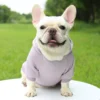 Fashion Dog Clothing Autumn And Winter Small Pet Clothes Thickening Warm Solid Color Two-Feet Hooded Wweater Casual Pet Products - Image 26