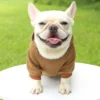Fashion Dog Clothing Autumn And Winter Small Pet Clothes Thickening Warm Solid Color Two-Feet Hooded Wweater Casual Pet Products - Image 28