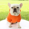 Fashion Dog Clothing Autumn And Winter Small Pet Clothes Thickening Warm Solid Color Two-Feet Hooded Wweater Casual Pet Products - Image 21
