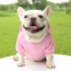 Fashion Dog Clothing Autumn And Winter Small Pet Clothes Thickening Warm Solid Color Two-Feet Hooded Wweater Casual Pet Products - Image 23